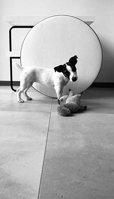 Masa de cafea mobila Chariot