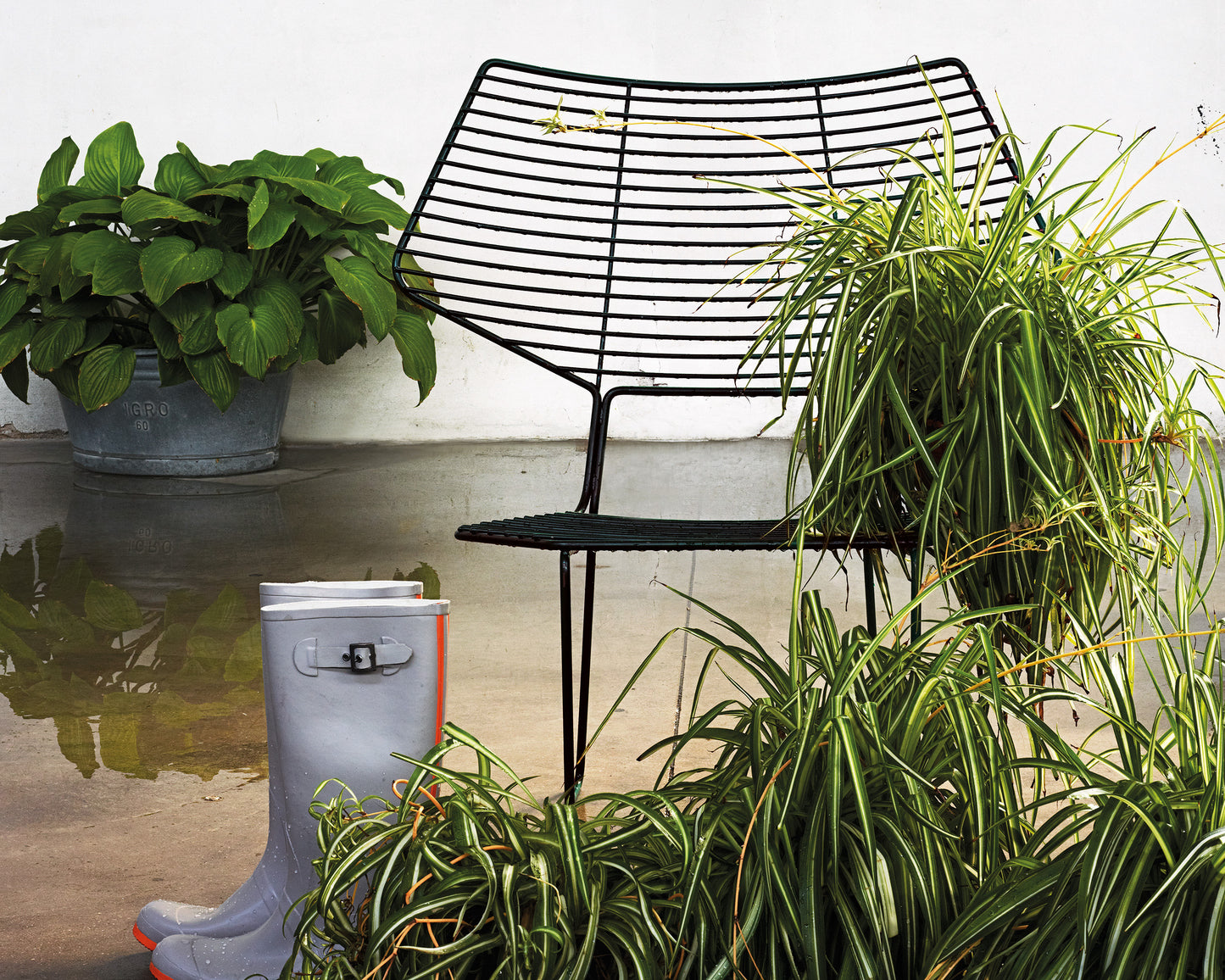 Scaun de exterior Alieno Peacock